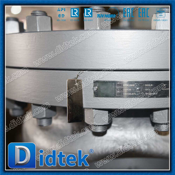 Didtek BS1868 Cast Steel Swing Check Valve